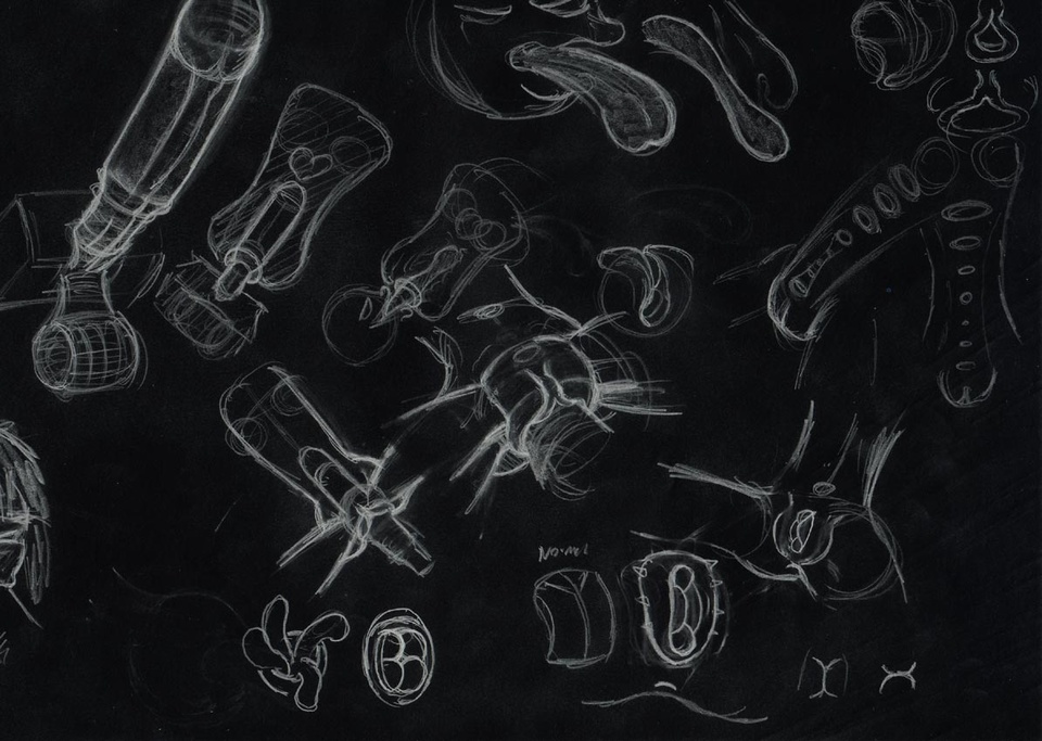 BORT anatomic CHALK walk