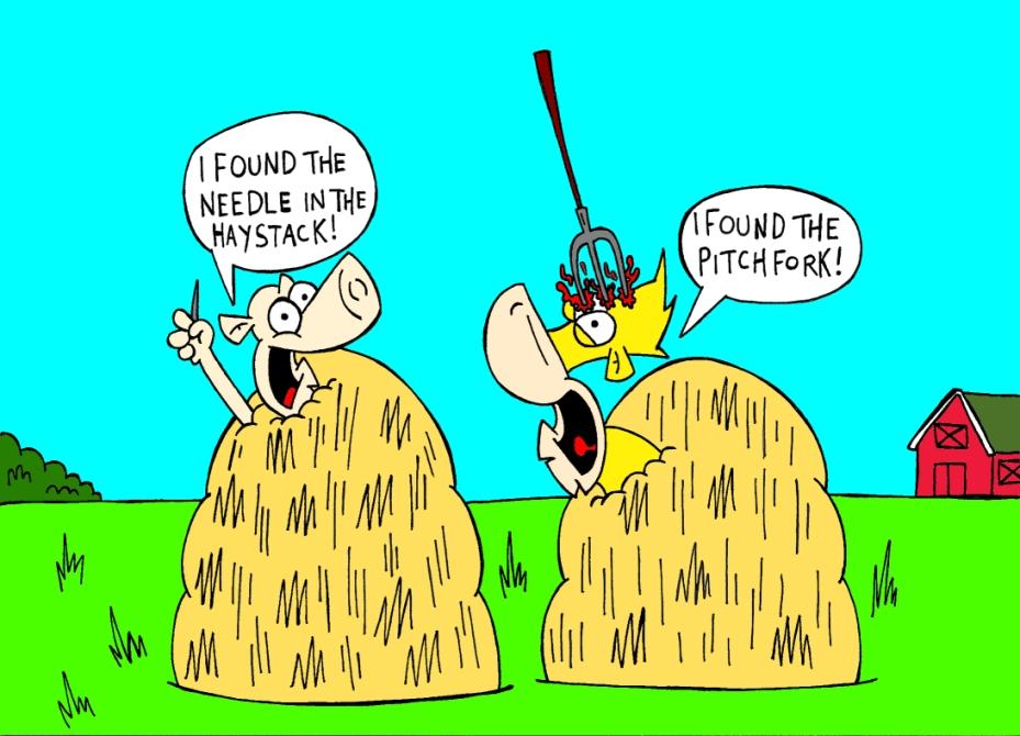 Needle in a haystack