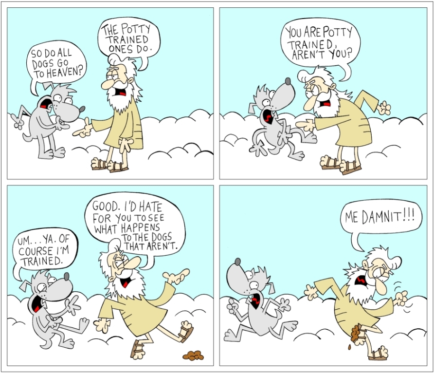 Bailey goes to heaven (Part 2)