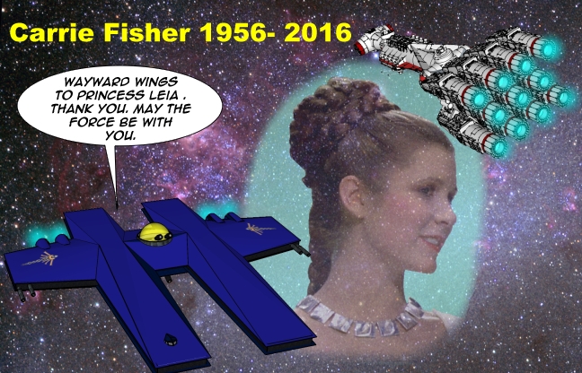 Farewell Princess