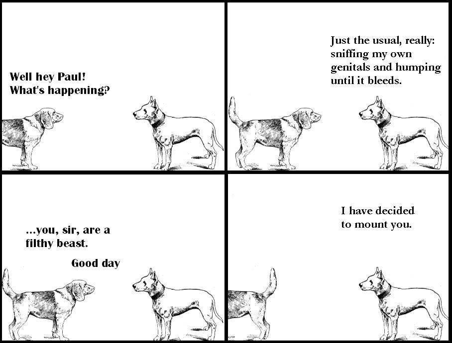 two dogs talking to each other... WITH HILARIOUS CONSEQUENCES