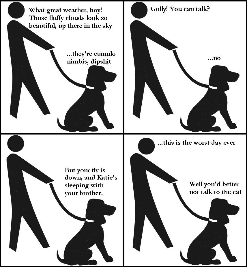 a talking dog? how witty