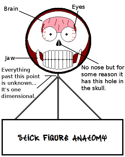 Stick Anatomy