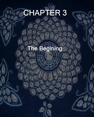 Chapter 3 - The begining