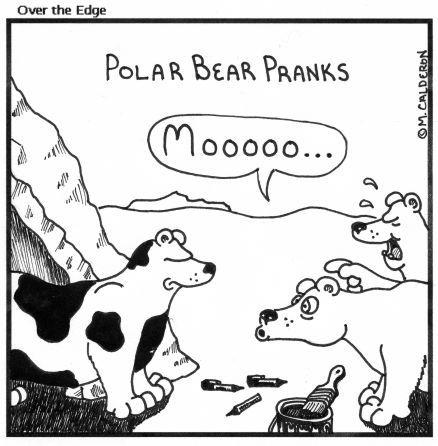 Polar Bears