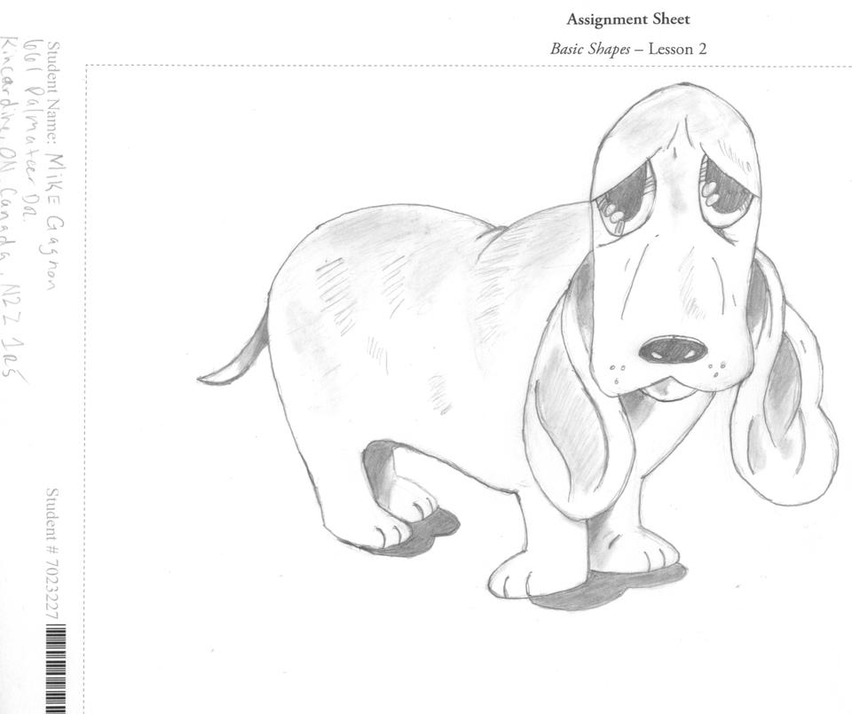 The Basset Hound