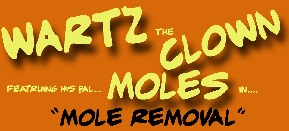 Mole Removal