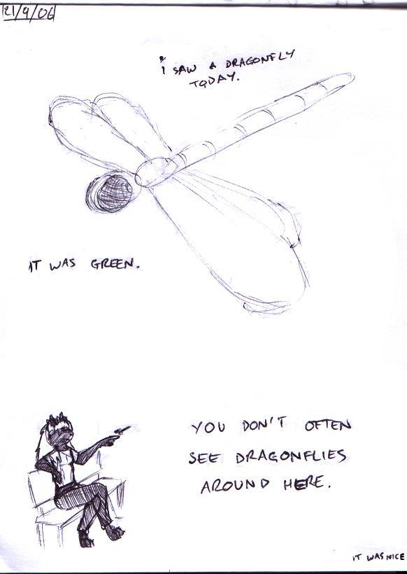 11 - dragonfly, fly, fly away...