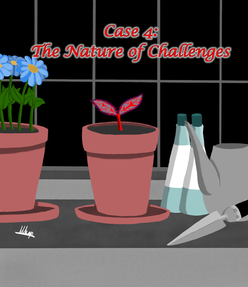 Case 4 The Nature of Challenges