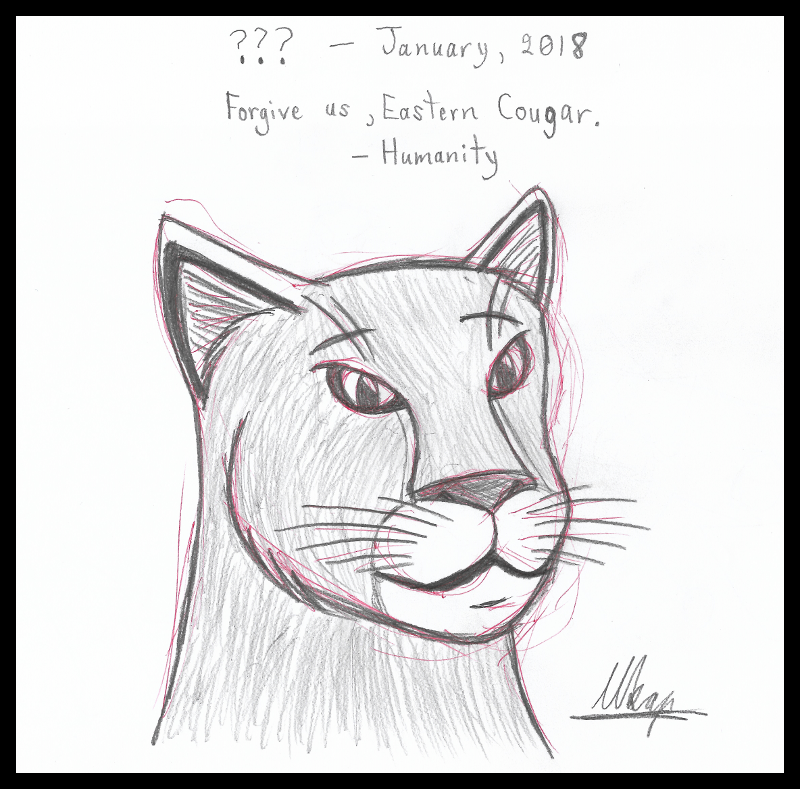 Forgive us, Eastern Cougar