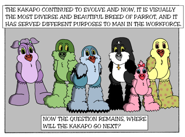 Evolution Part 7