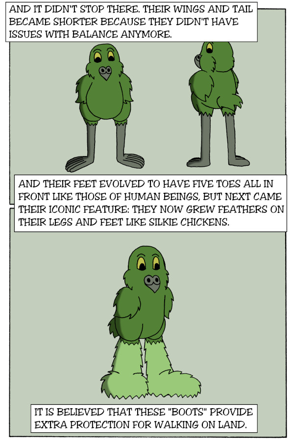 Evolution Part 6