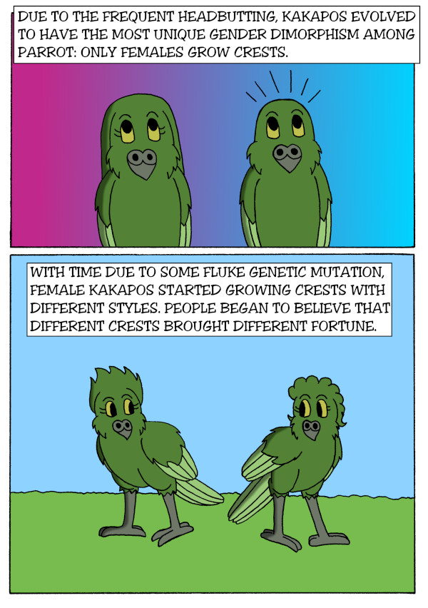 Evolution Part 4