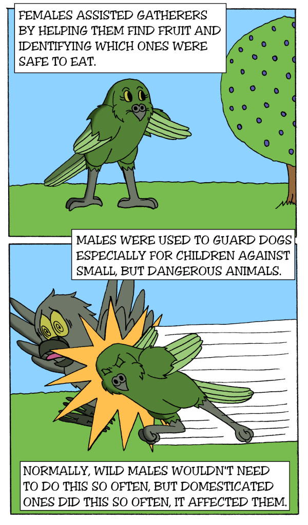 Evolution Part 3