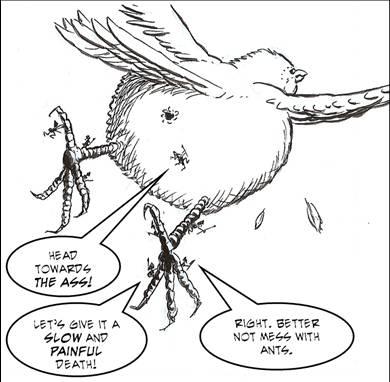 Wittgenstein Ant Colony - Panel 6