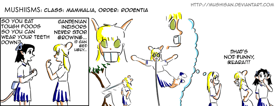 49) Class: mammalia, order: rodentia