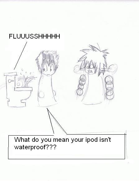 Ipod flush