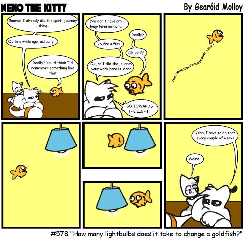 #578 "How many lightbulbs does it take to change a goldfish?"