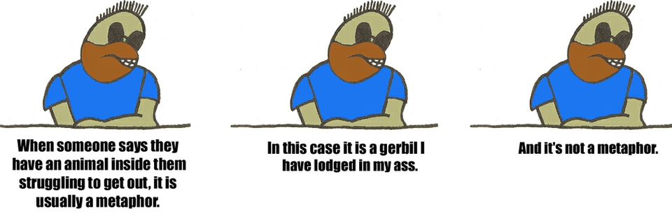 A Look Inside