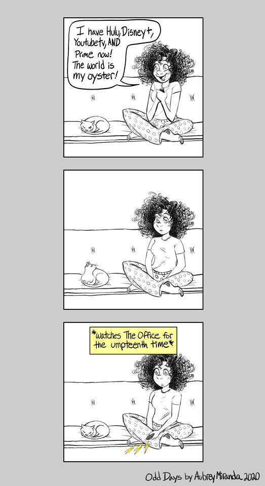 Netflix & the world