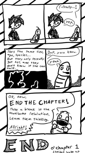 Sheldon Wakes Up: Epilogue, End Of Chapter 1