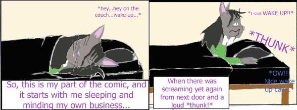 A Rude Awakening--- Lady's POV (comic 3)