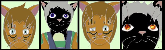 What's Wrong With Brady's Eyes?