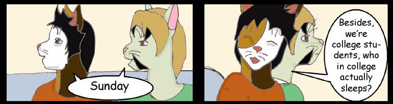 The Answer To The Question