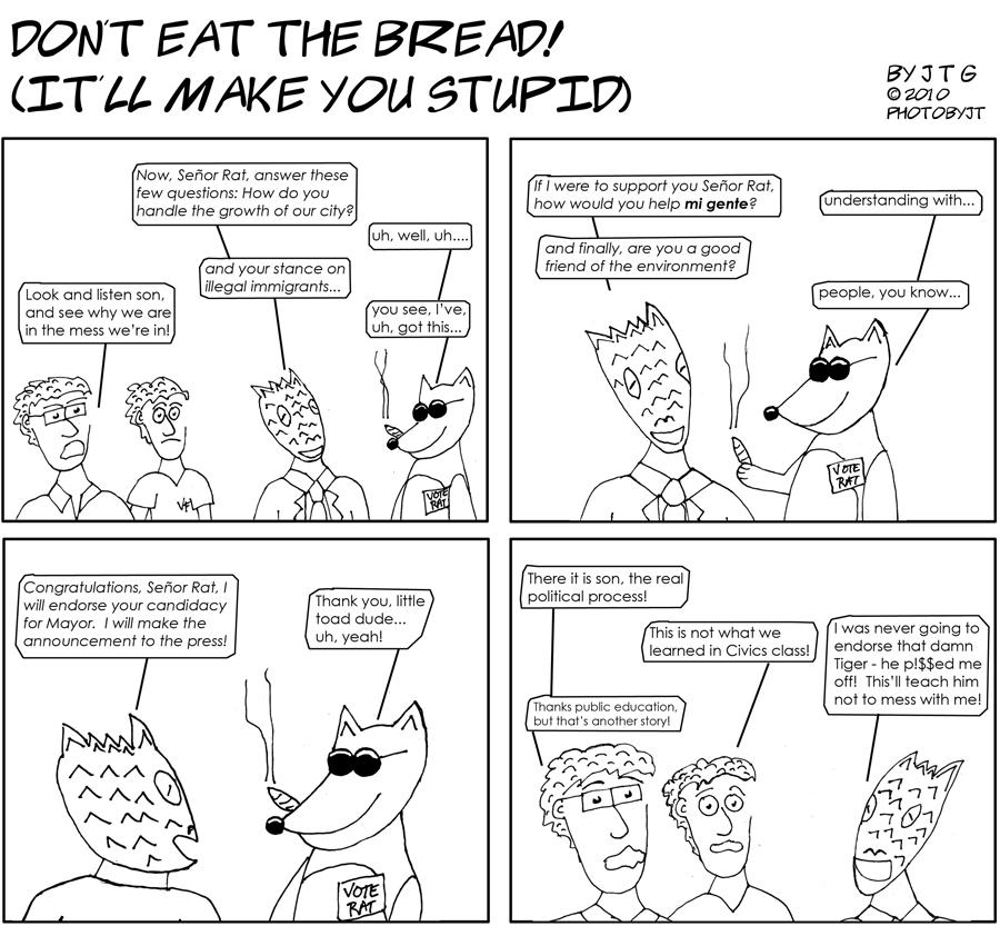 The Political process or Civics lessons