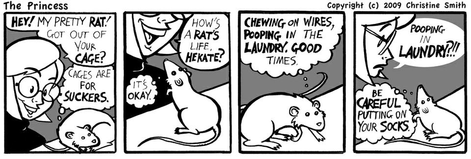 a rat's life....