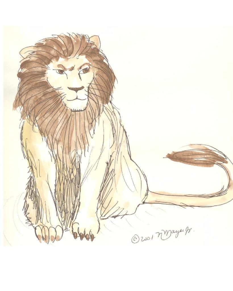 Wooz - lion pinup