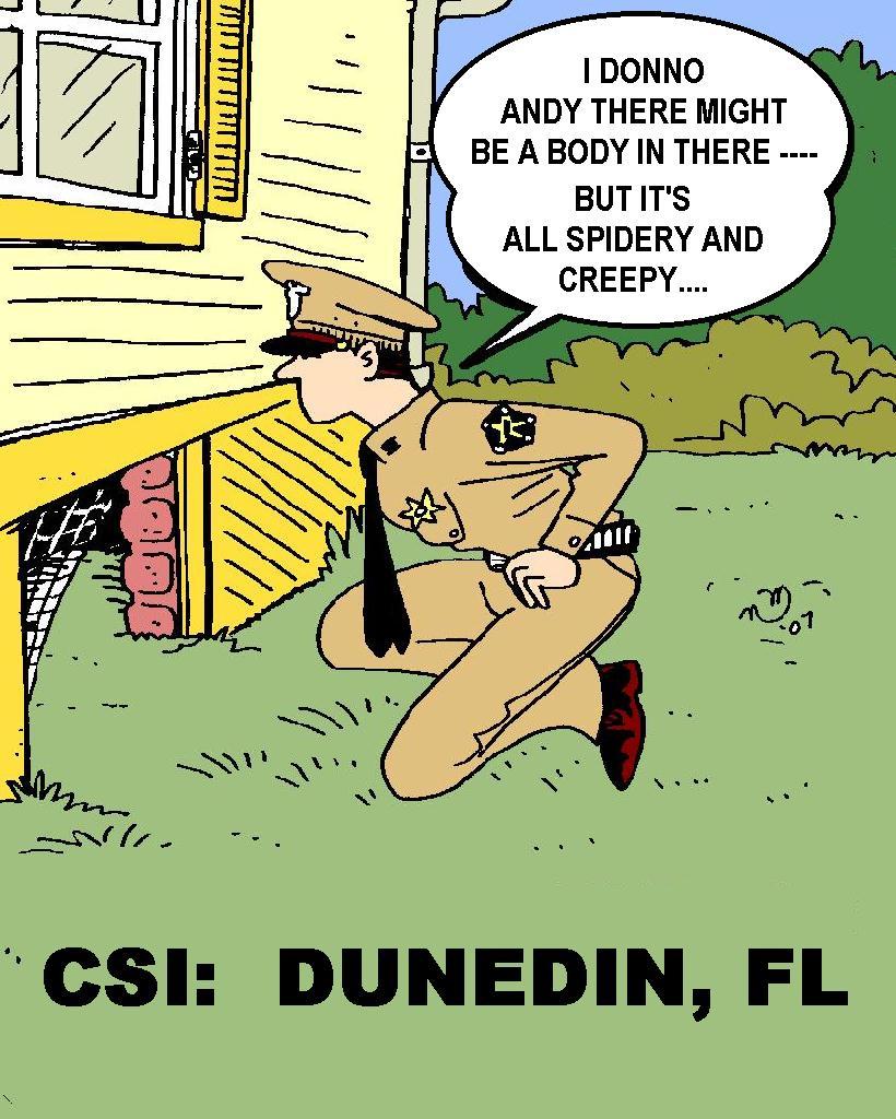 CSI:  Dunedin, Florida