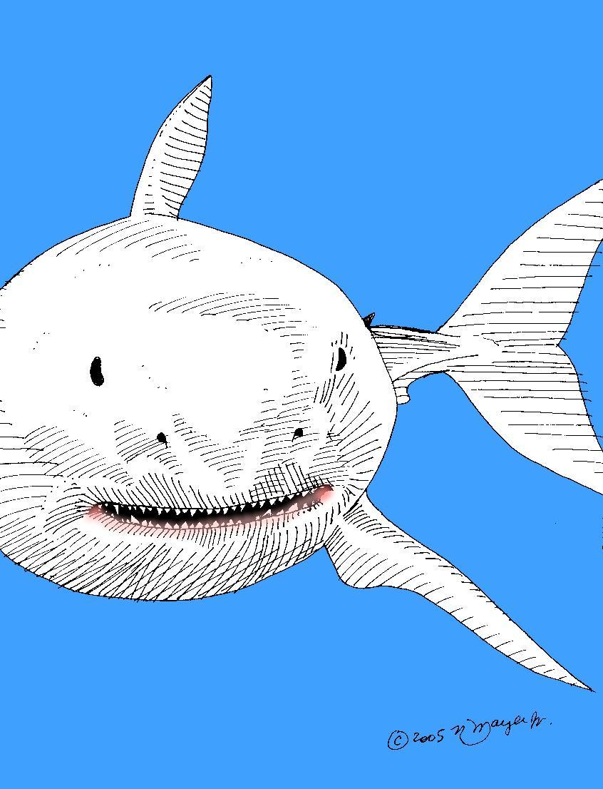 05tb459a - shark week is coming