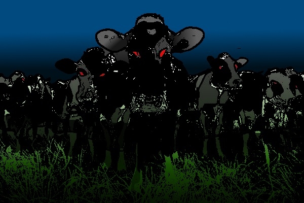 14tb142 - "the Devil's herd"