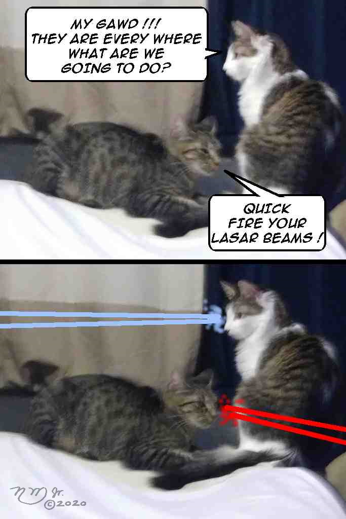 20tb058 - cats defend