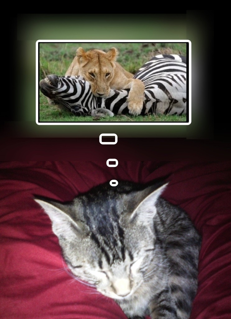 Pinup - 17tb068:  How Oola Kitty sees herself