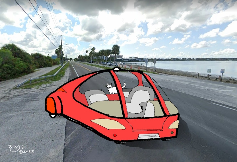 23tb101c - self driving car with cat in it