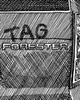 Go to 'Tag Forester in When it Rains it Pours' comic