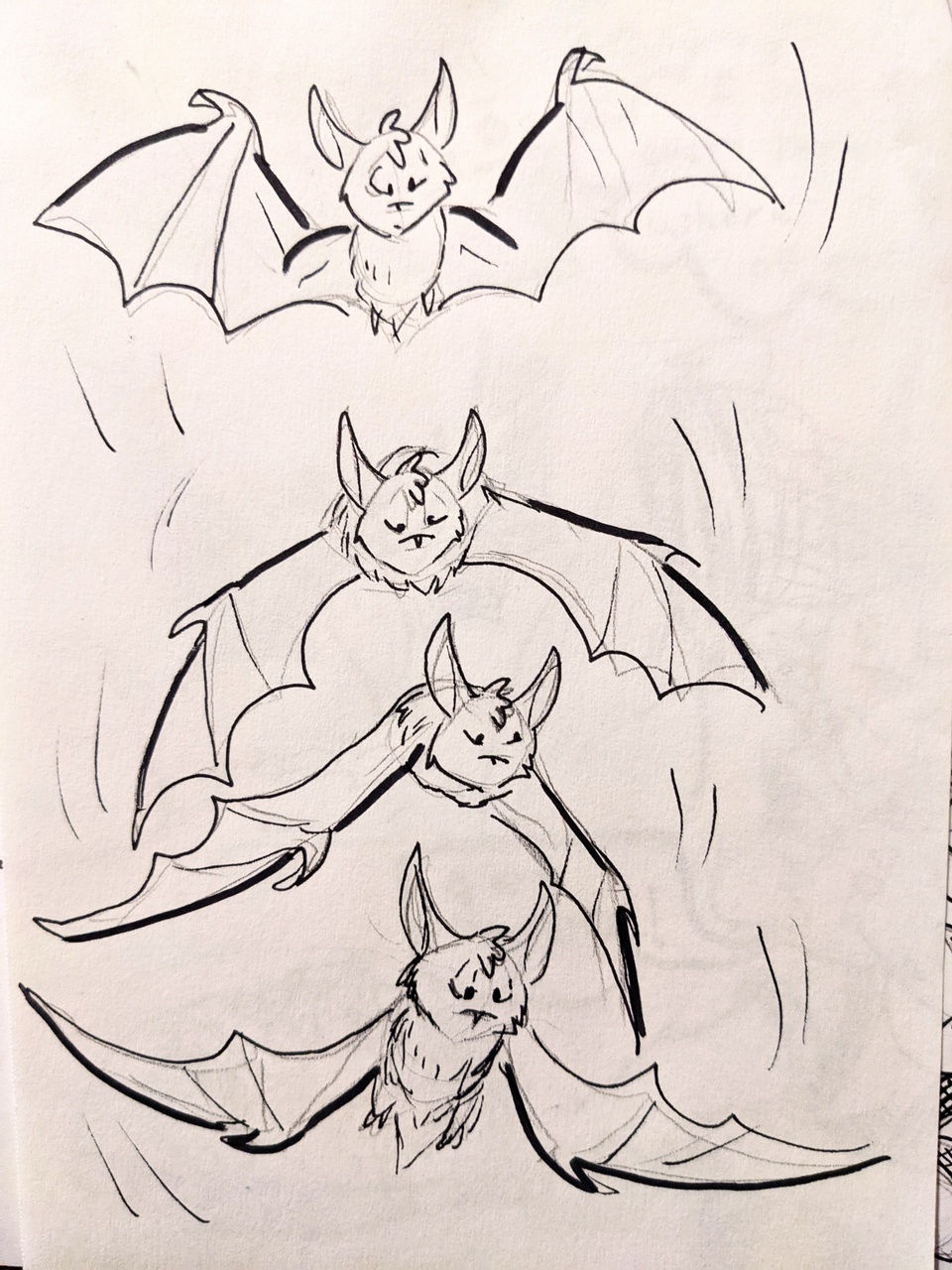 Bat