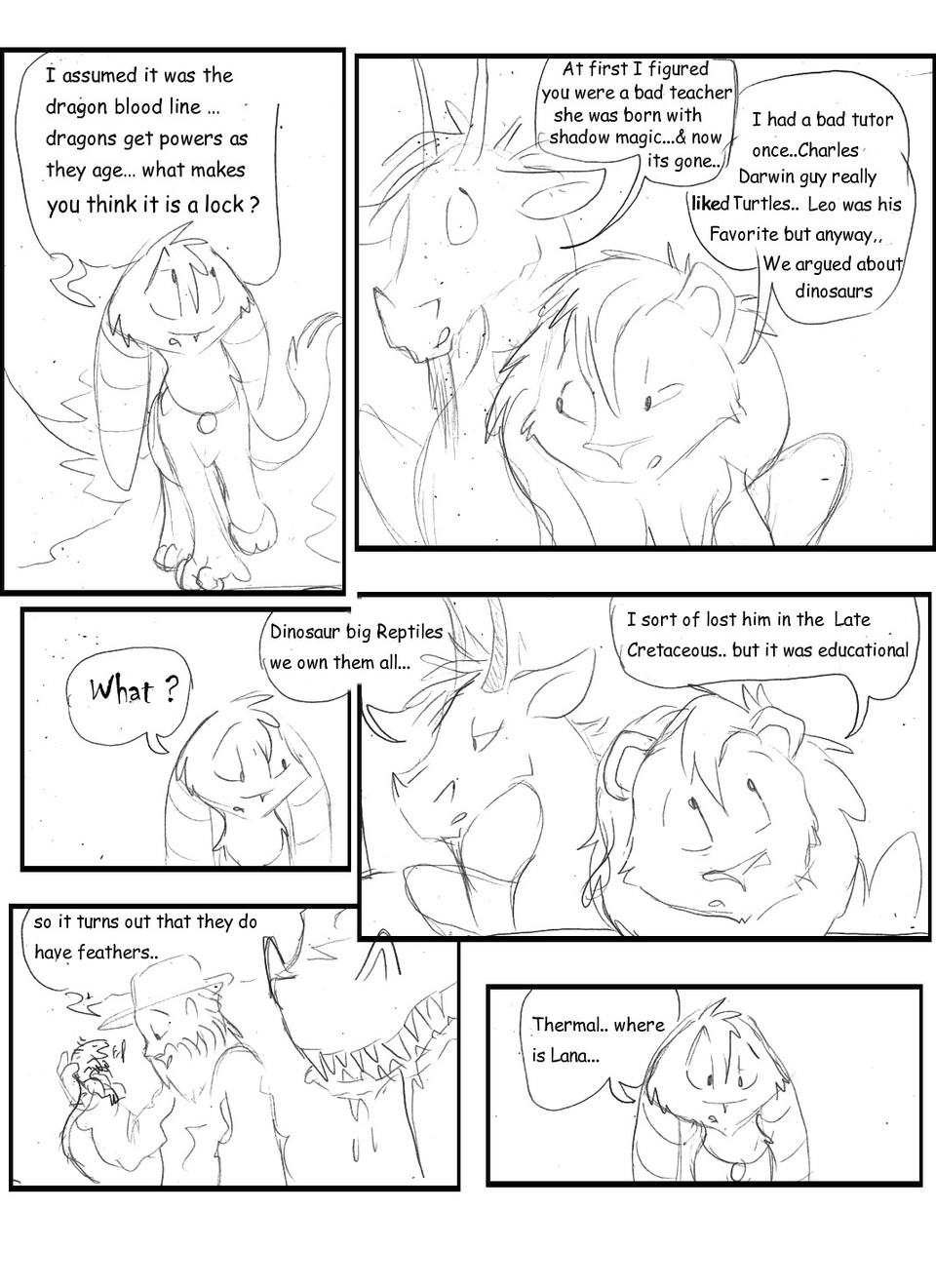 they have feathers..