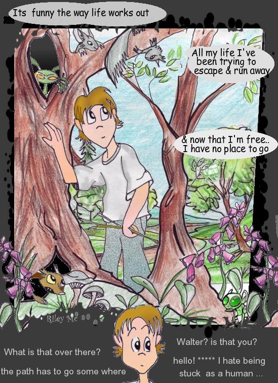 in to the woods...