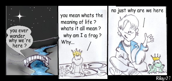 whats it all mean...