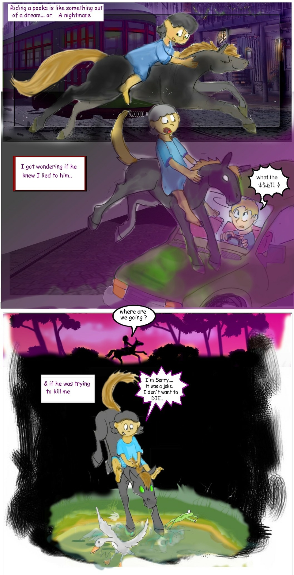 wild run contenued 