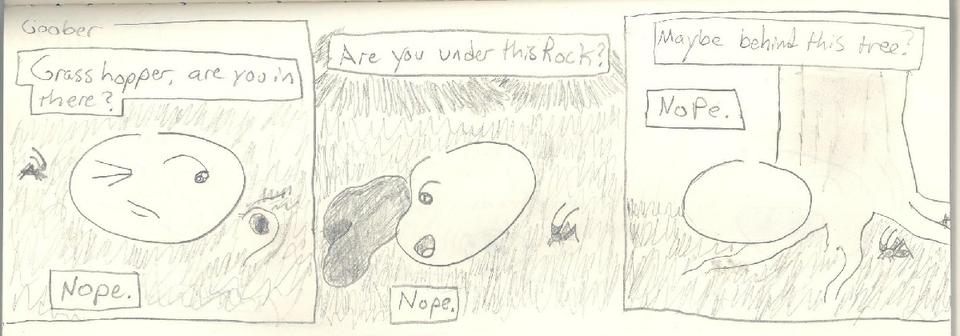 hide and seek