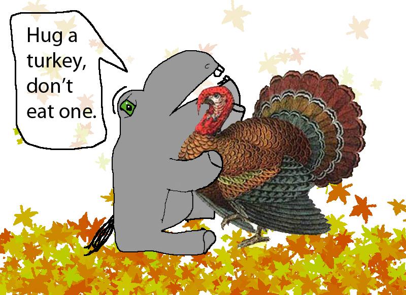 Hug a turkey!