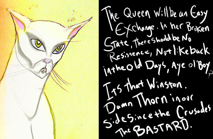 Maximus and Senior Gato Discuss current events 