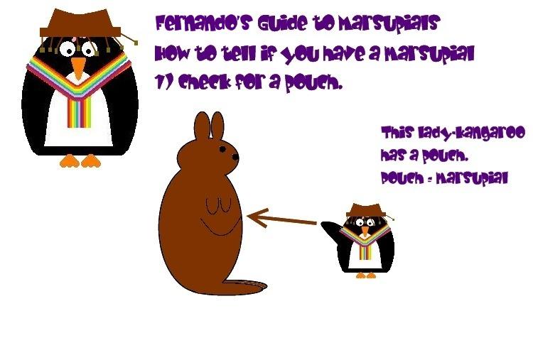 Fernando's Guide to Marsupials