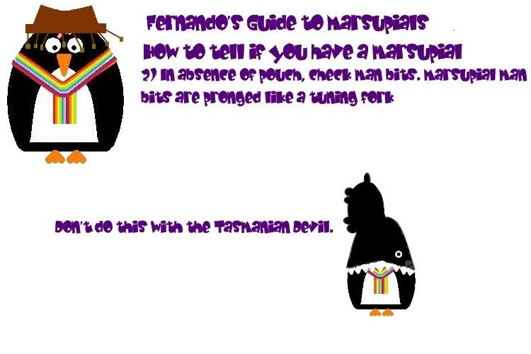 Fernando's Guide to Marsupials 2