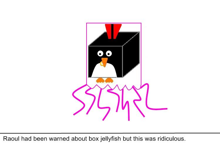 Jellyfish