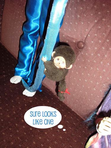 Is That A Monkey?  2